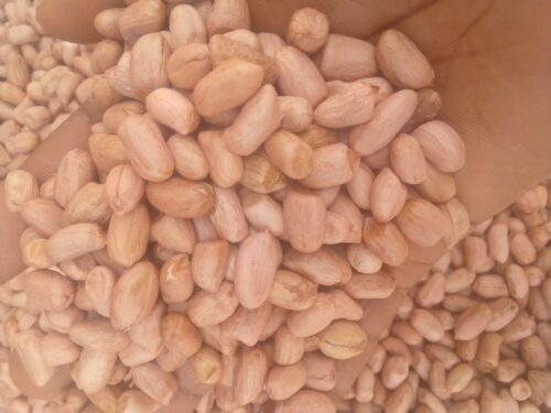 Peanuts / Groundnuts